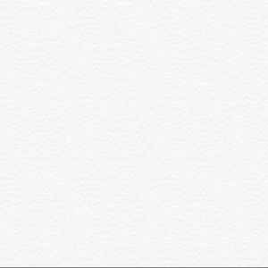 Meet your Posher, Savannah